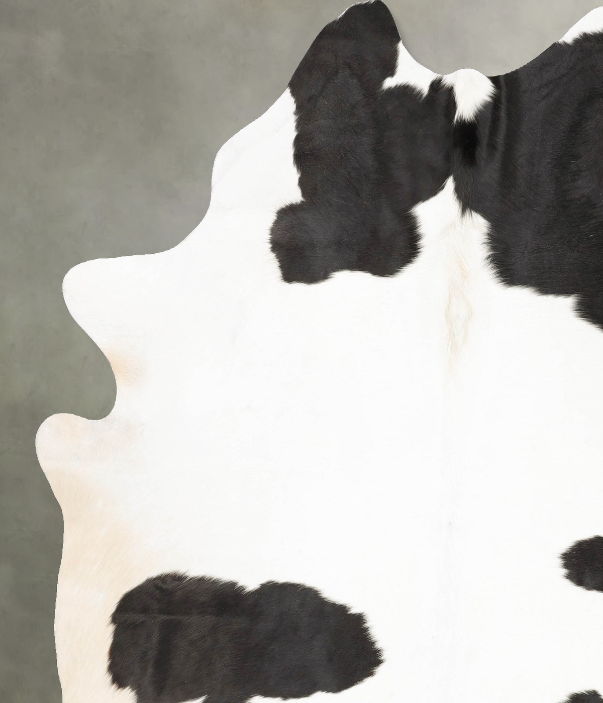 Black and White XX-Large Brazilian Cowhide Rug 8'1"H x 6'5"W #B27604 by Hudson Hides