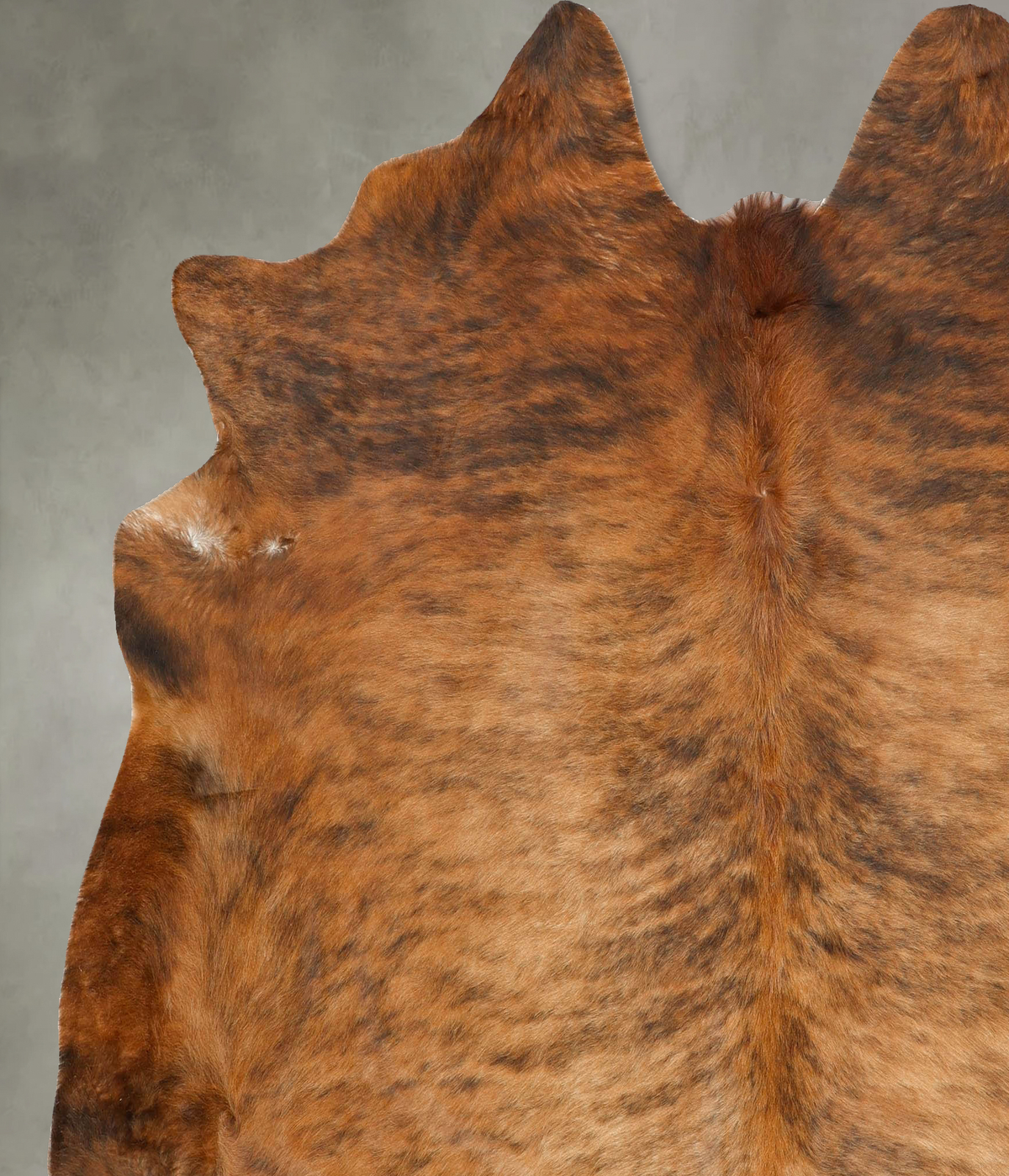 Medium Brindle X-Large Brazilian Cowhide Rug 7'3"H x 6'10"W #B27610 by Hudson Hides