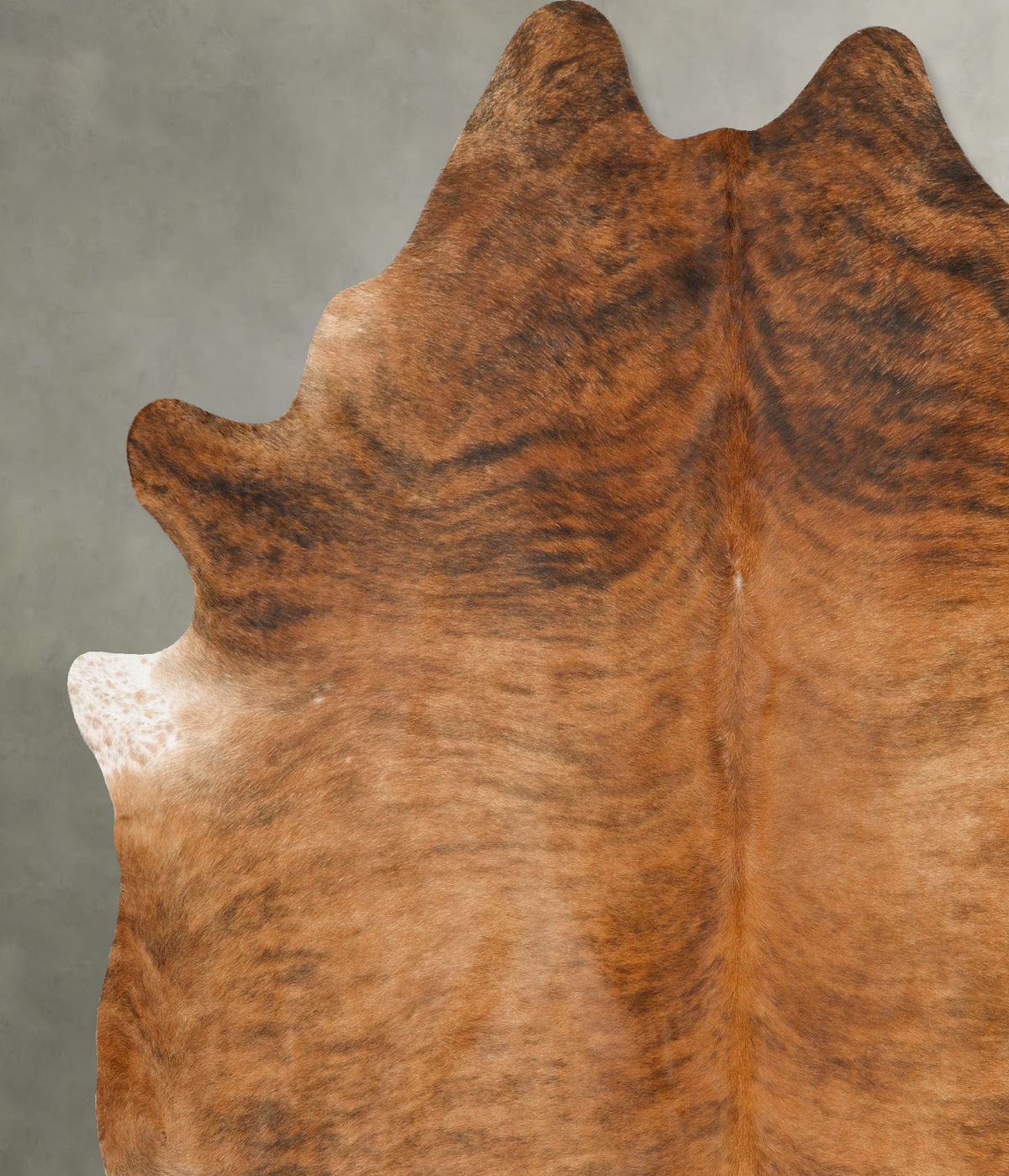 Medium Brindle XX-Large Brazilian Cowhide Rug 8'10"H x 7'8"W #B27627 by Hudson Hides