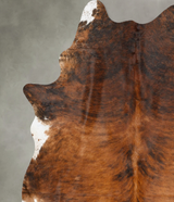 Medium Brindle XX-Large Brazilian Cowhide Rug 8'5"H x 7'2"W #B27634 by Hudson Hides