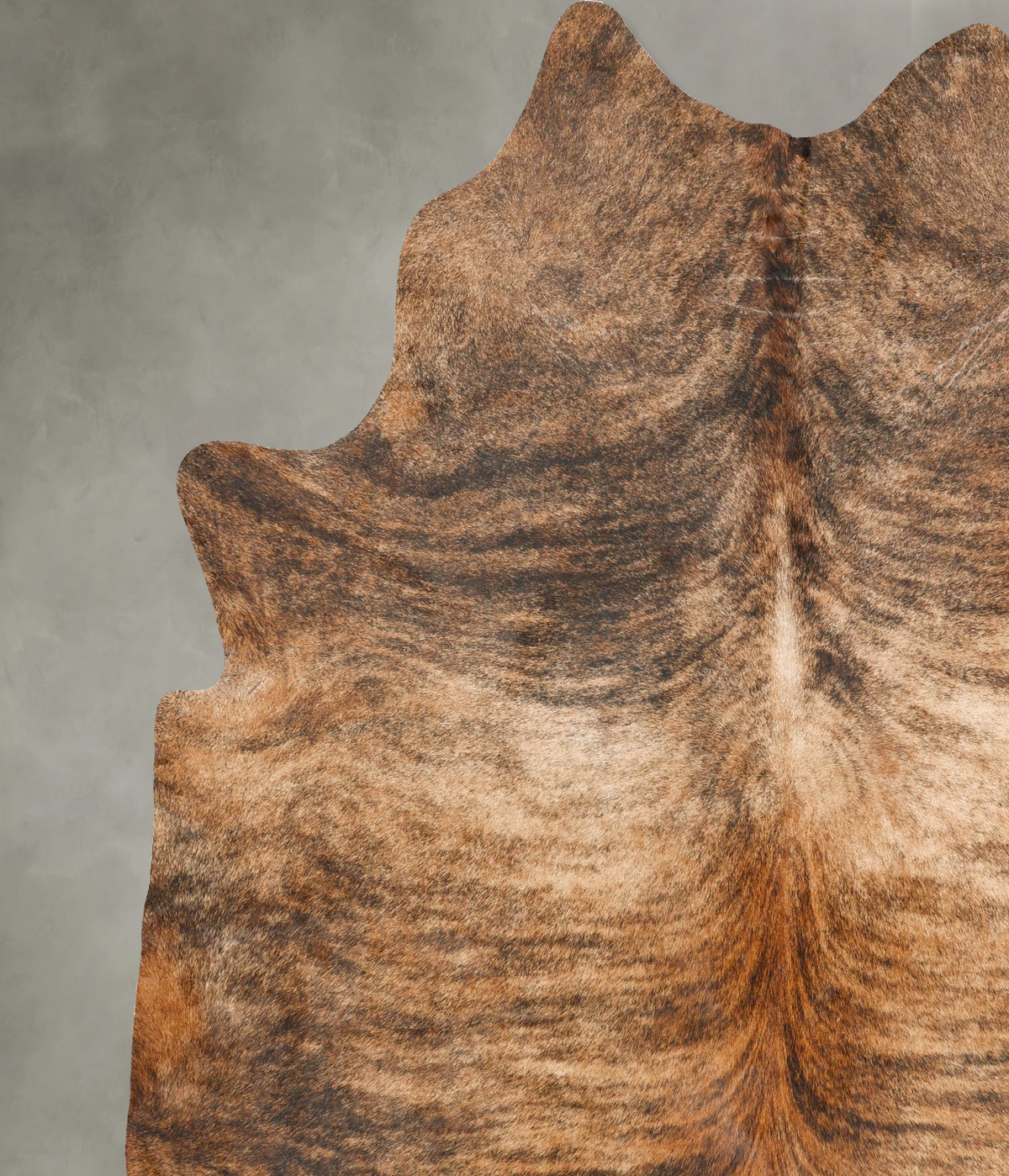 Medium Brindle XX-Large Brazilian Cowhide Rug 8'5"H x 7'3"W #B27639 by Hudson Hides