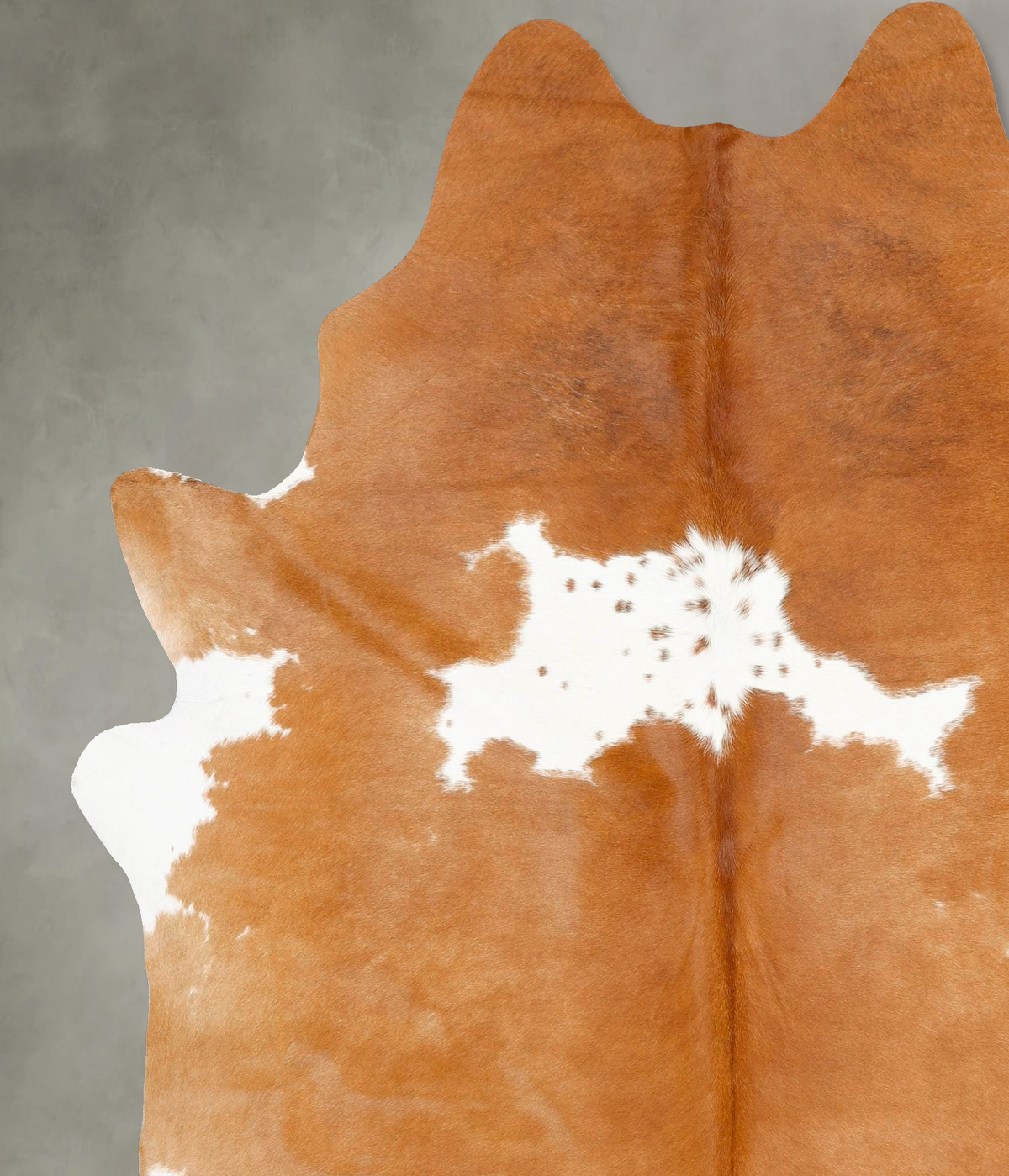 Brown and White XX-Large Brazilian Cowhide Rug 8'1"H x 6'5"W #B27647 by Hudson Hides