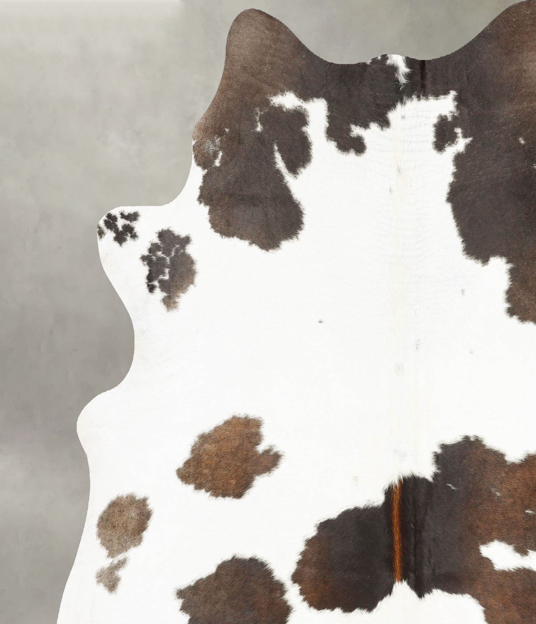 Chocolate and White Cowhide Rug #B27650
