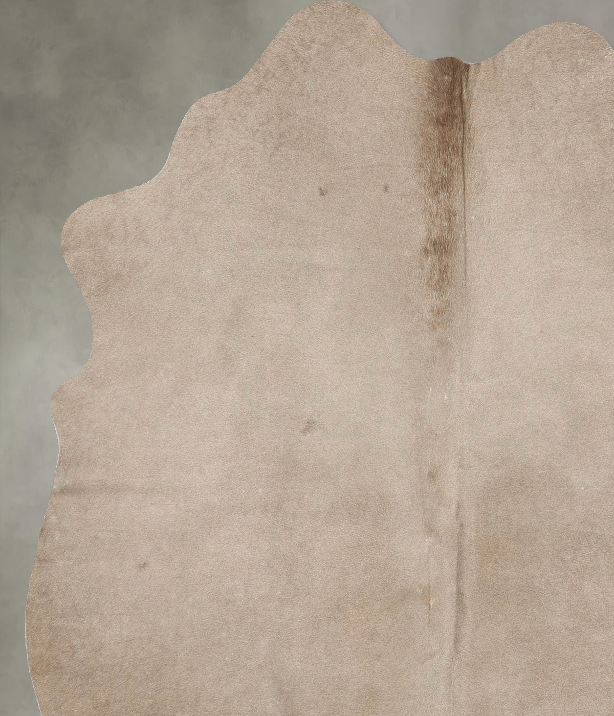 Taupe Medium Brazilian Cowhide Rug 6'1"H x 4'9"W #B27671 by Hudson Hides