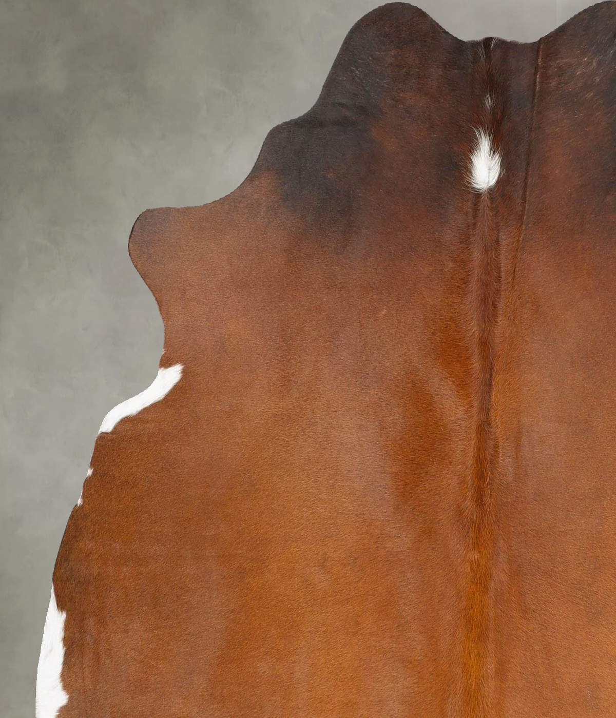 Warm Caramel Large Brazilian Cowhide Rug 5'11"H x 5'4"W #B27673 by Hudson Hides