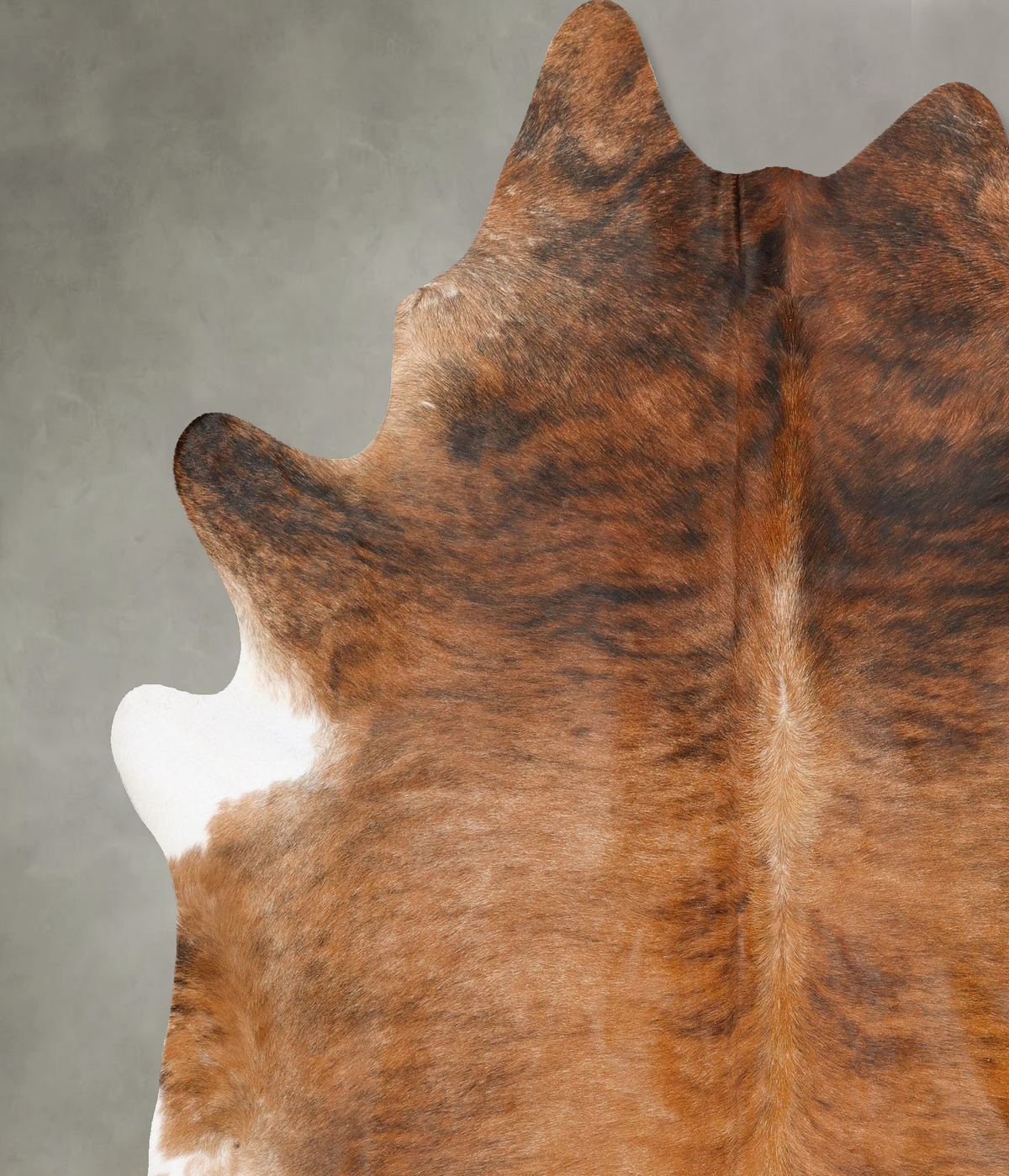 Medium Brindle XX-Large Brazilian Cowhide Rug 7'10"H x 7'1"W #B27680 by Hudson Hides