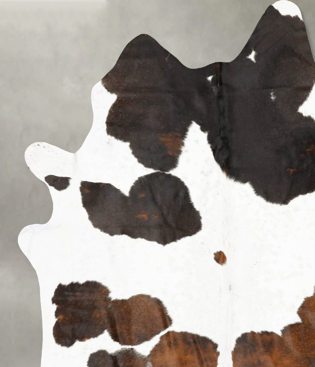 Chocolate and White XX-Large Brazilian Cowhide Rug 9'0"H x 7'5"W #B27682 by Hudson Hides