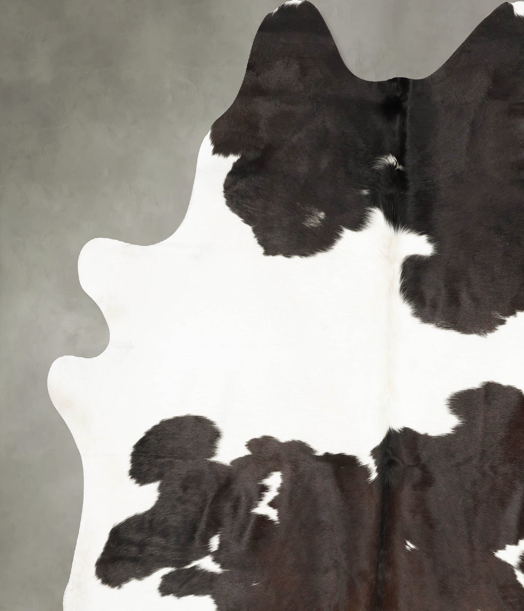 Chocolate and White Cowhide Rug #B27683