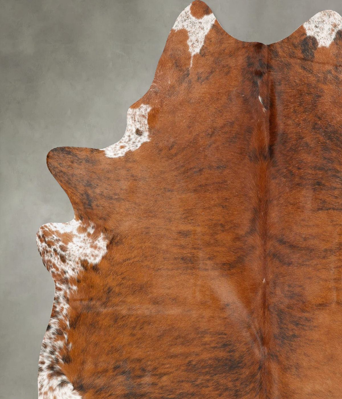 Medium Brindle X-Large Brazilian Cowhide Rug 7'7"H x 6'3"W #B27694 by Hudson Hides