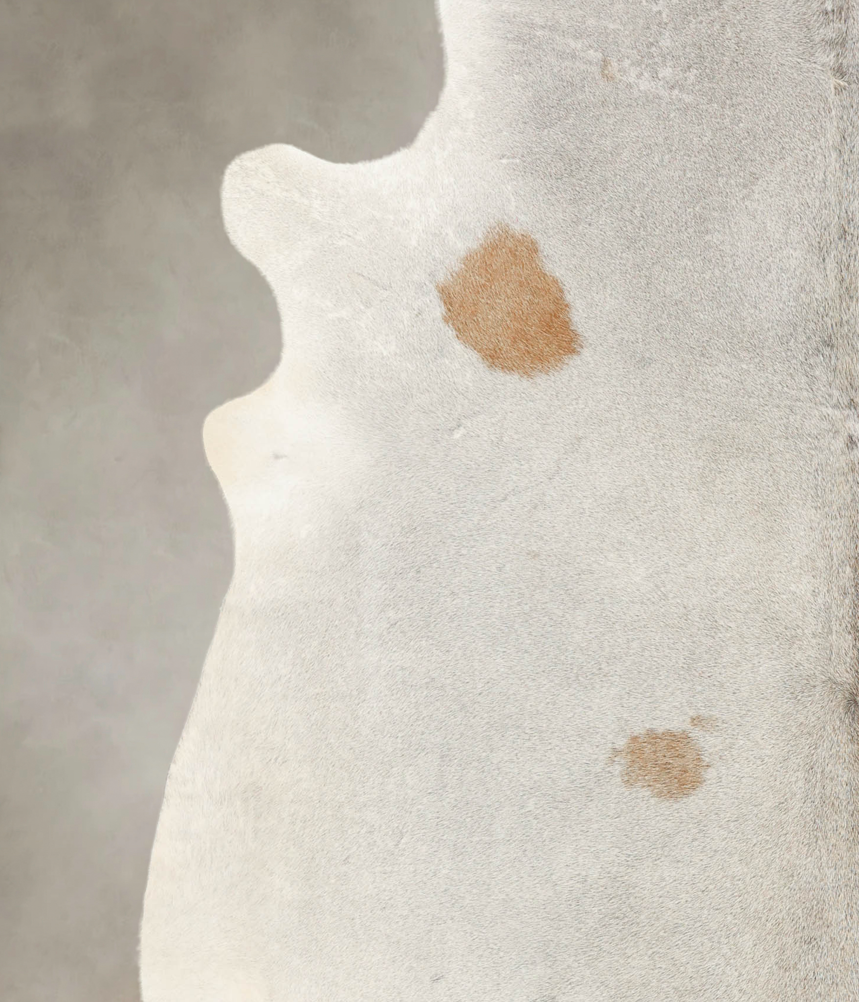 Grey with Beige Cowhide Rug #B2771