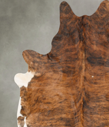 Medium Brindle XX-Large Brazilian Cowhide Rug 7'11"H x 7'3"W #B27742 by Hudson Hides