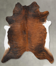 Medium Brindle XX-Large Brazilian Cowhide Rug 7'9"H x 7'3"W #B27750 by Hudson Hides