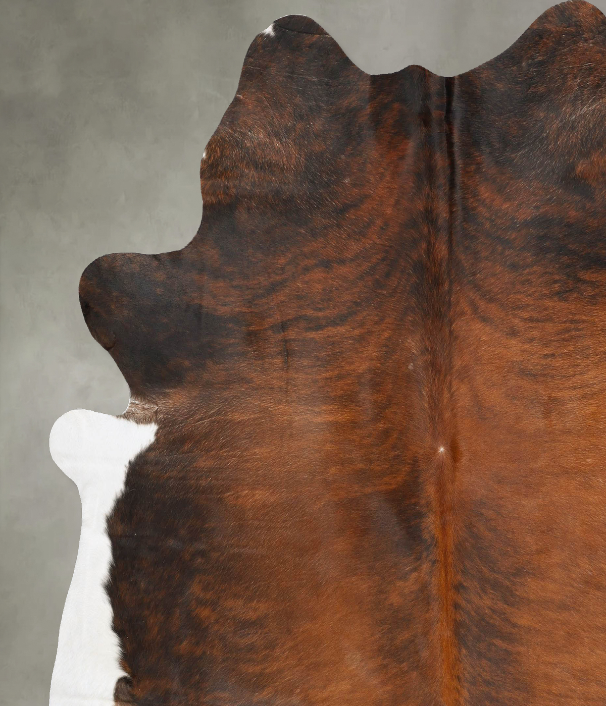 Medium Brindle XX-Large Brazilian Cowhide Rug 7'9"H x 7'3"W #B27750 by Hudson Hides