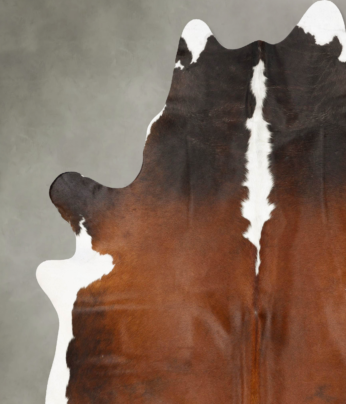 Chocolate and White XX-Large Brazilian Cowhide Rug 8'2"H x 6'9"W #B27794 by Hudson Hides