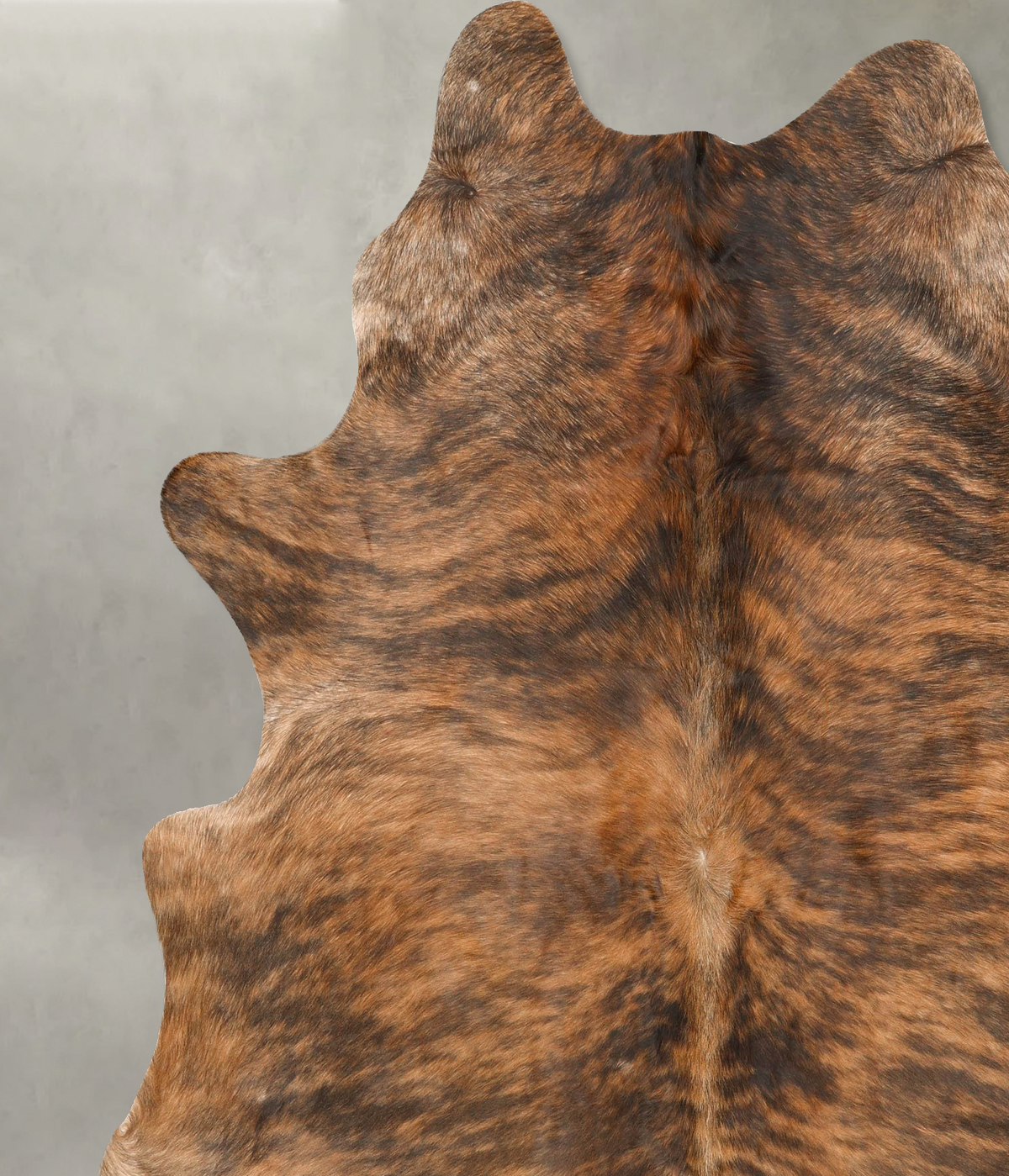 Medium Brindle XX-Large Brazilian Cowhide Rug 7'9"H x 6'11"W #B27797 by Hudson Hides