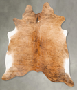 Medium Brindle XX-Large Brazilian Cowhide Rug 7'4"H x 6'11"W #B27798 by Hudson Hides