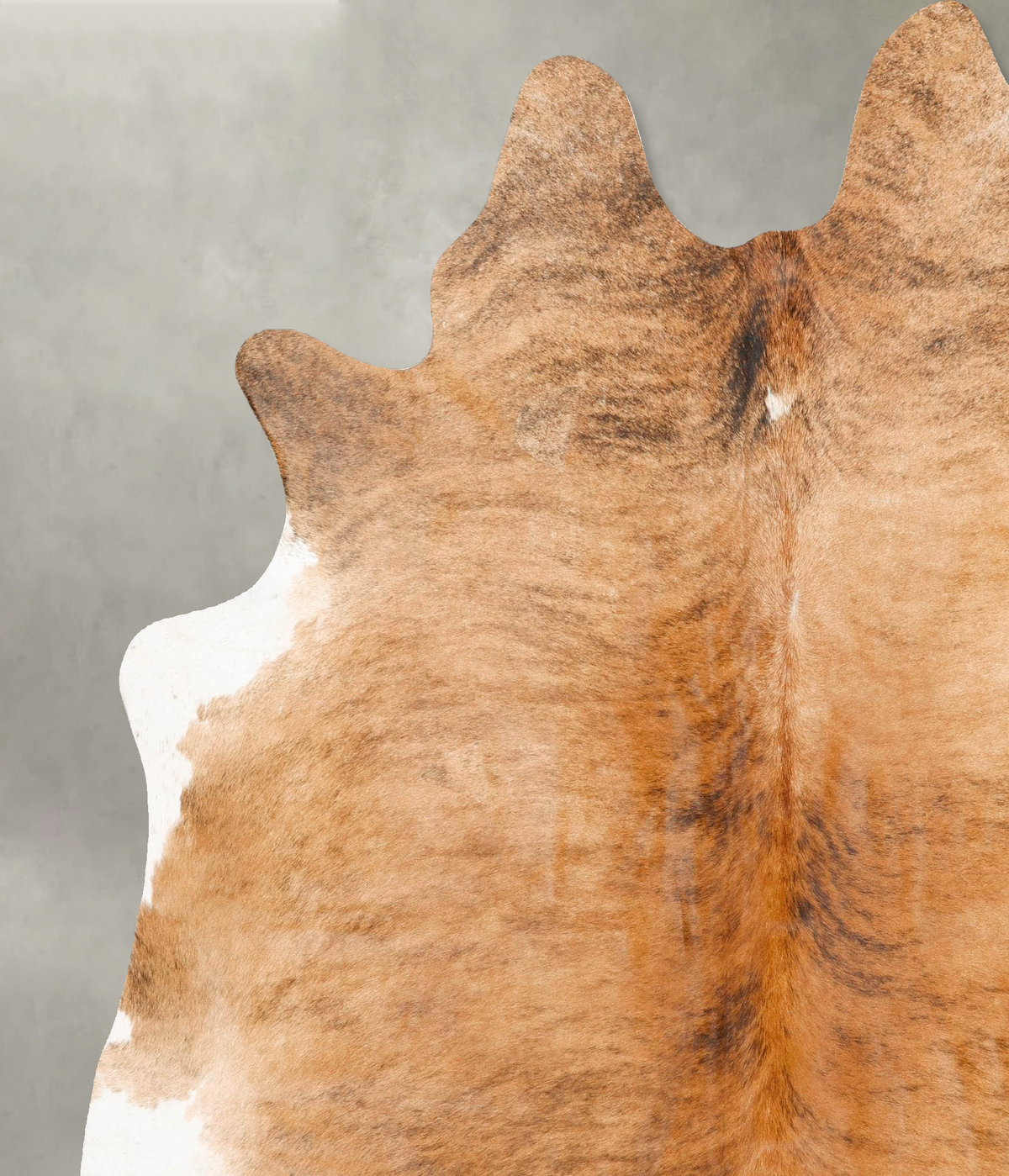 Medium Brindle XX-Large Brazilian Cowhide Rug 7'4"H x 6'11"W #B27798 by Hudson Hides
