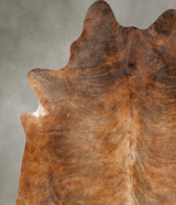 Medium Brindle X-Large Brazilian Cowhide Rug 7'8"H x 6'5"W #B27799 by Hudson Hides