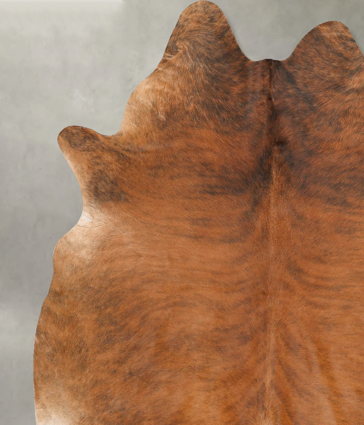 Medium Brindle XX-Large Brazilian Cowhide Rug 7'9"H x 6'9"W #B27800 by Hudson Hides