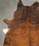 Medium Brindle XX-Large Brazilian Cowhide Rug 8'5"H x 6'11"W #B27818 by Hudson Hides