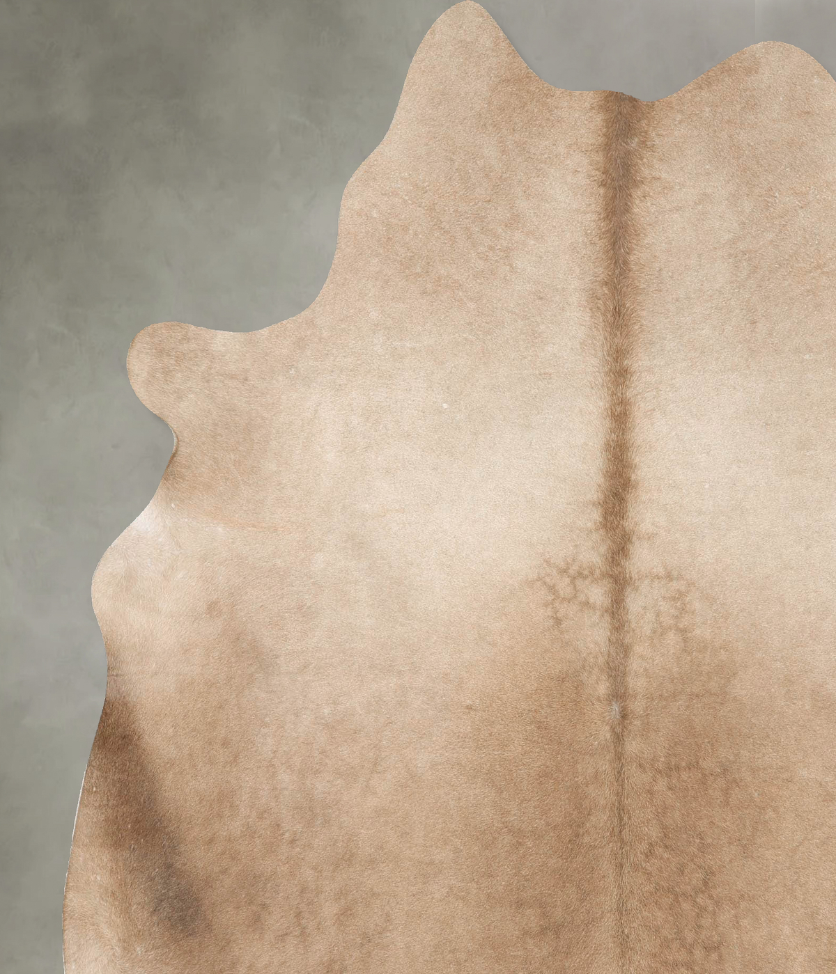 Taupe X-Large Brazilian Cowhide Rug 7'1"H x 6'2"W #B27824 by Hudson Hides