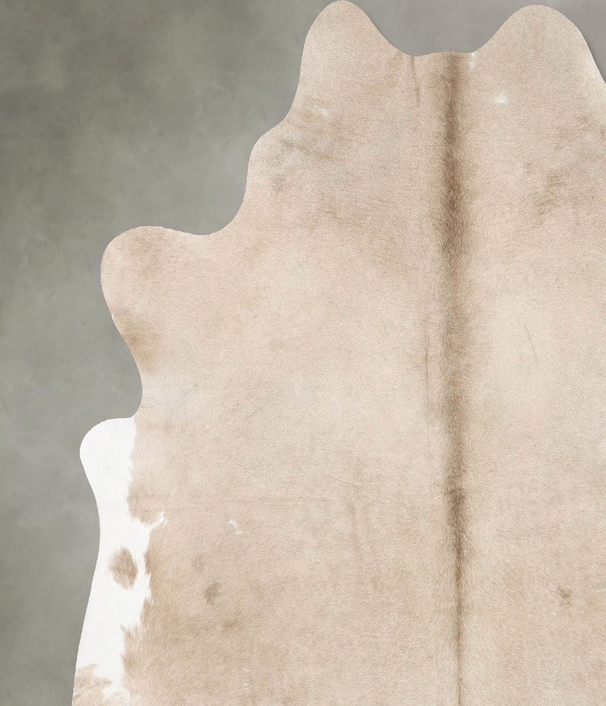 Champagne XX-Large Brazilian Cowhide Rug 7'5"H x 6'10"W #B27856 by Hudson Hides
