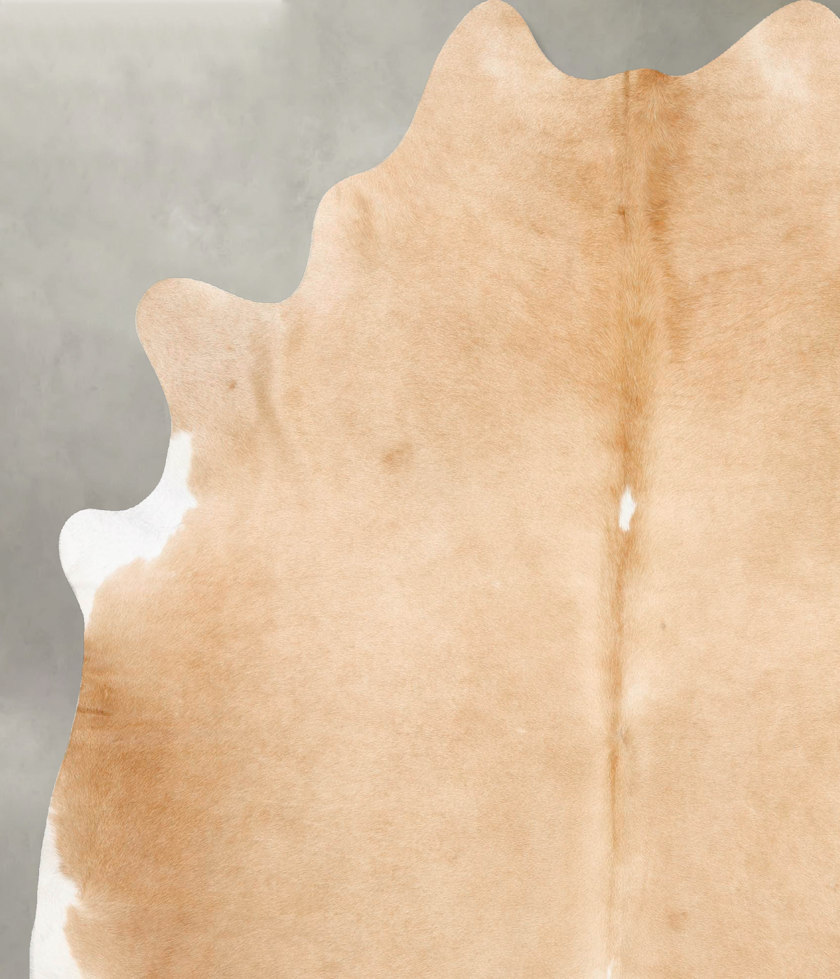 Palomino XX-Large Brazilian Cowhide Rug 8'5"H x 6'8"W #B27859 by Hudson Hides