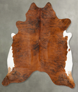 Medium Brindle XX-Large Brazilian Cowhide Rug 7'8"H x 7'2"W #B27861 by Hudson Hides