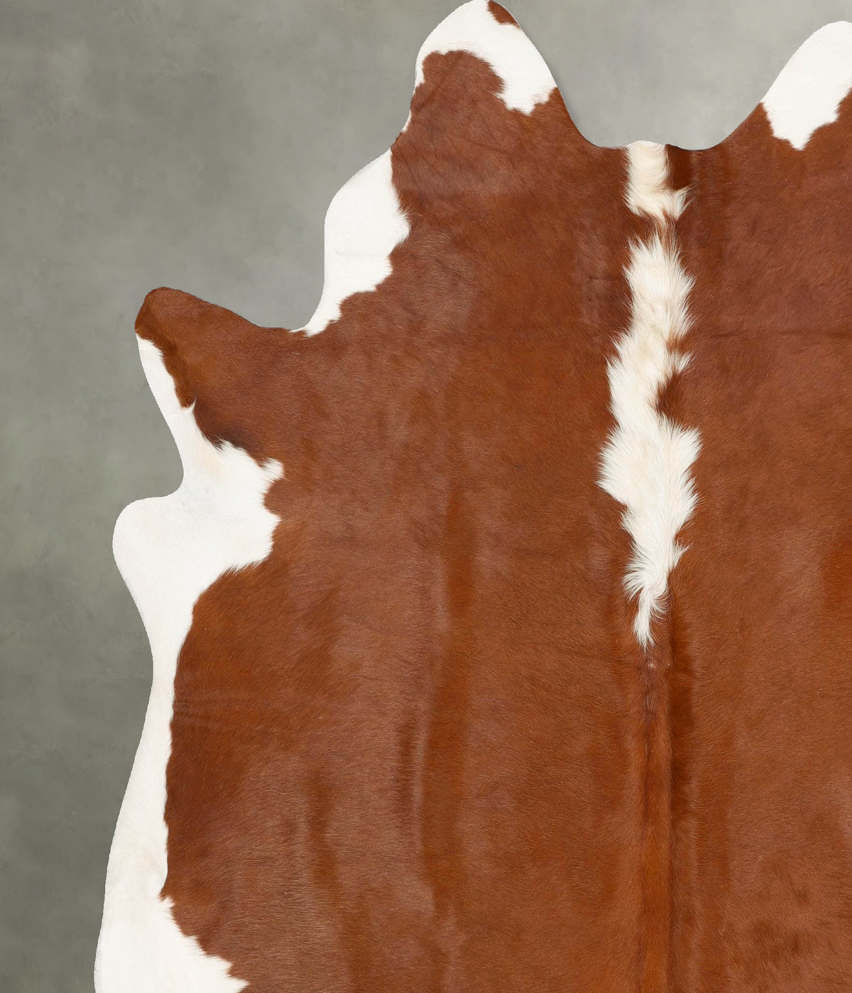 Hereford XX-Large Brazilian Cowhide Rug 7'10"H x 6'11"W #B27864 by Hudson Hides