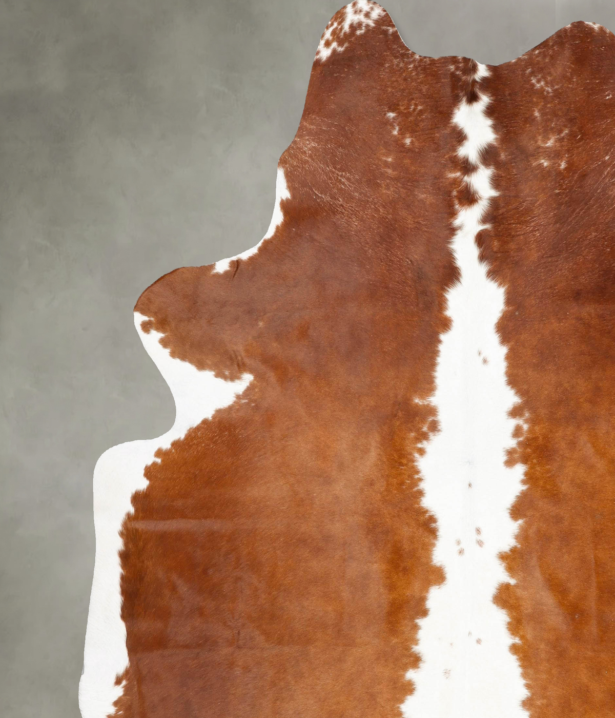 Brown and White Regular XX-Large Brazilian Cowhide Rug 8'3"H x 7'5"W #B27865 by Hudson Hides