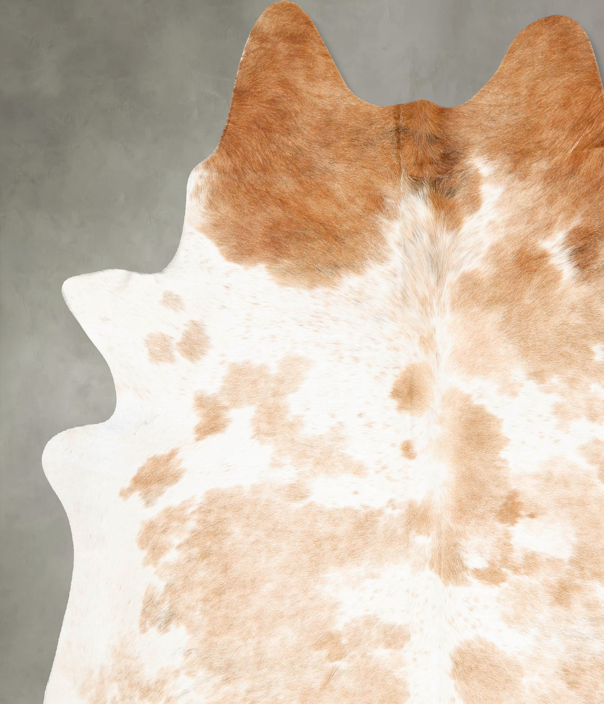 Beige and White X-Large Brazilian Cowhide Rug 7'8"H x 6'6"W #B27874 by Hudson Hides