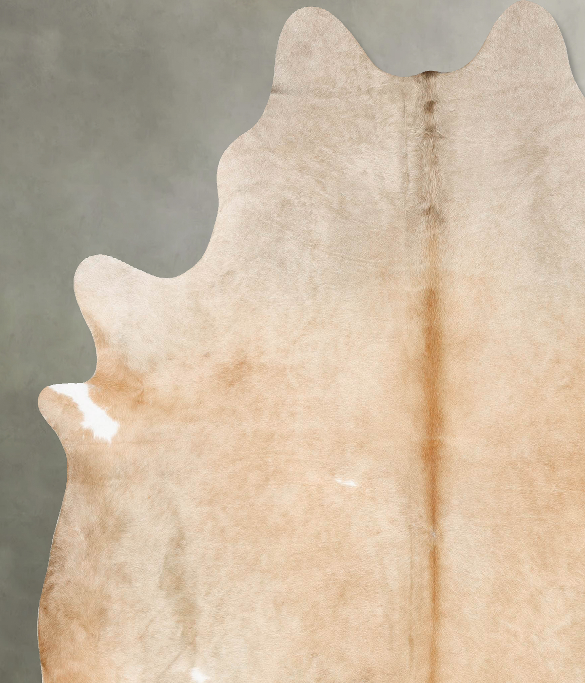 Champagne XX-Large Brazilian Cowhide Rug 8'2"H x 6'10"W #B27896 by Hudson Hides