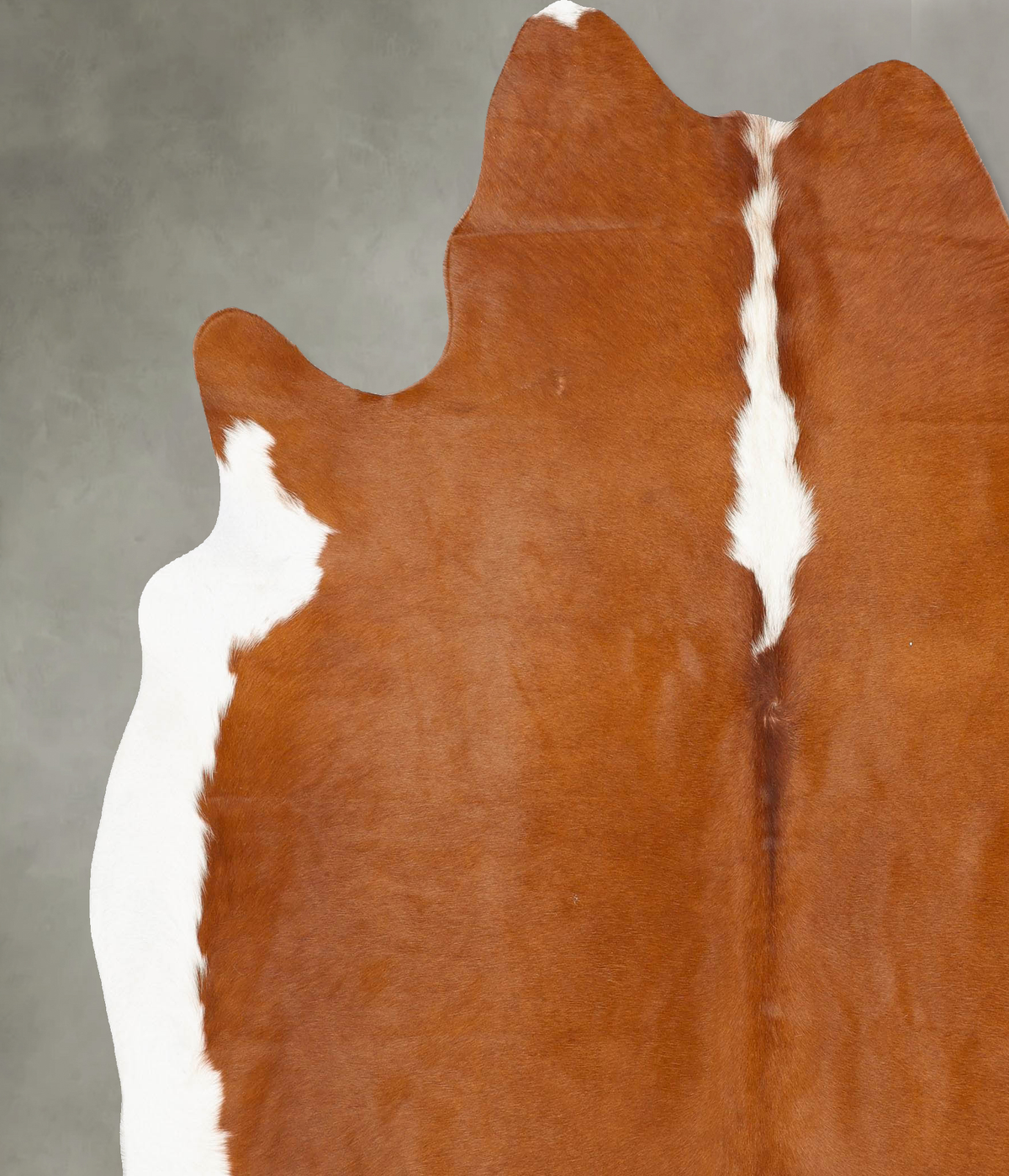 Hereford XX-Large Brazilian Cowhide Rug 7'11"H x 7'0"W #B27908 by Hudson Hides