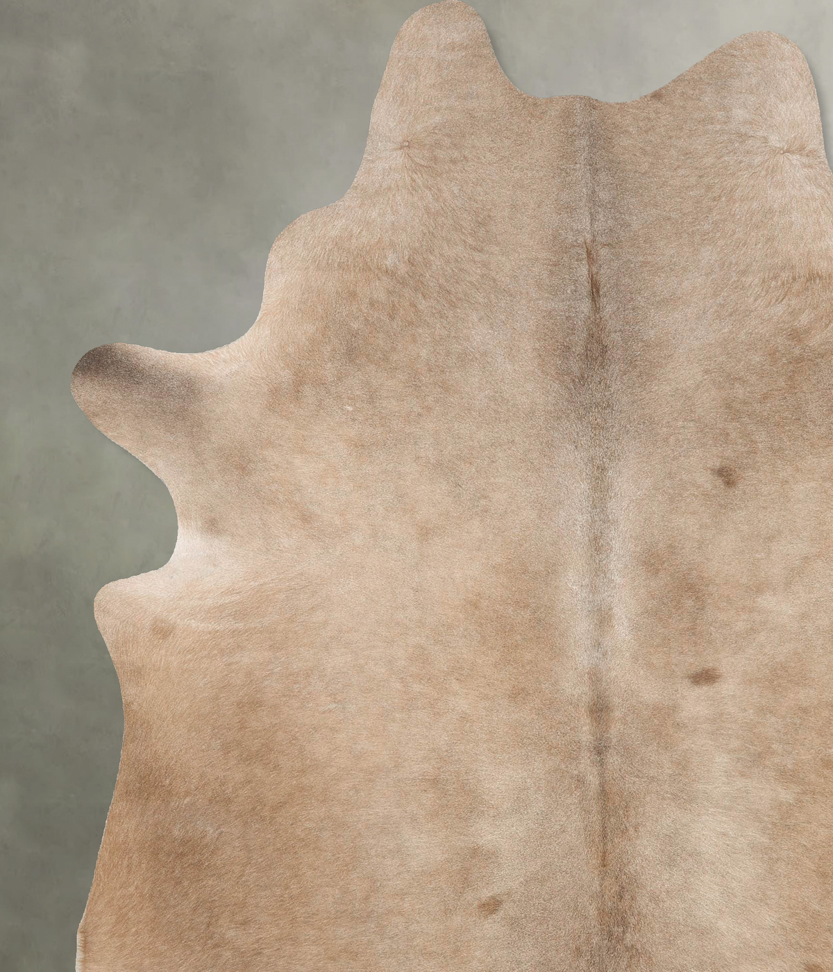 Taupe XX-Large Brazilian Cowhide Rug 8'0"H x 6'6"W #B27918 by Hudson Hides