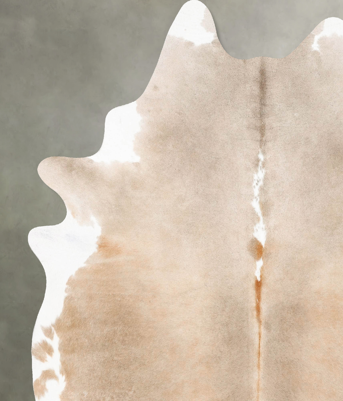 Taupe XX-Large Brazilian Cowhide Rug 8'6"H x 6'8"W #B27919 by Hudson Hides