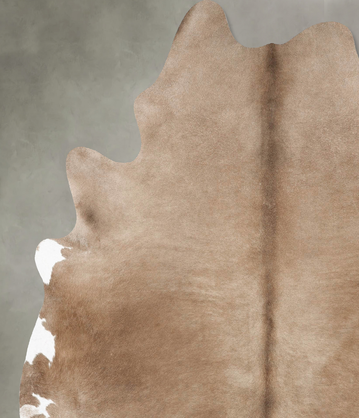 Taupe XX-Large Brazilian Cowhide Rug 8'1"H x 6'5"W #B27920 by Hudson Hides