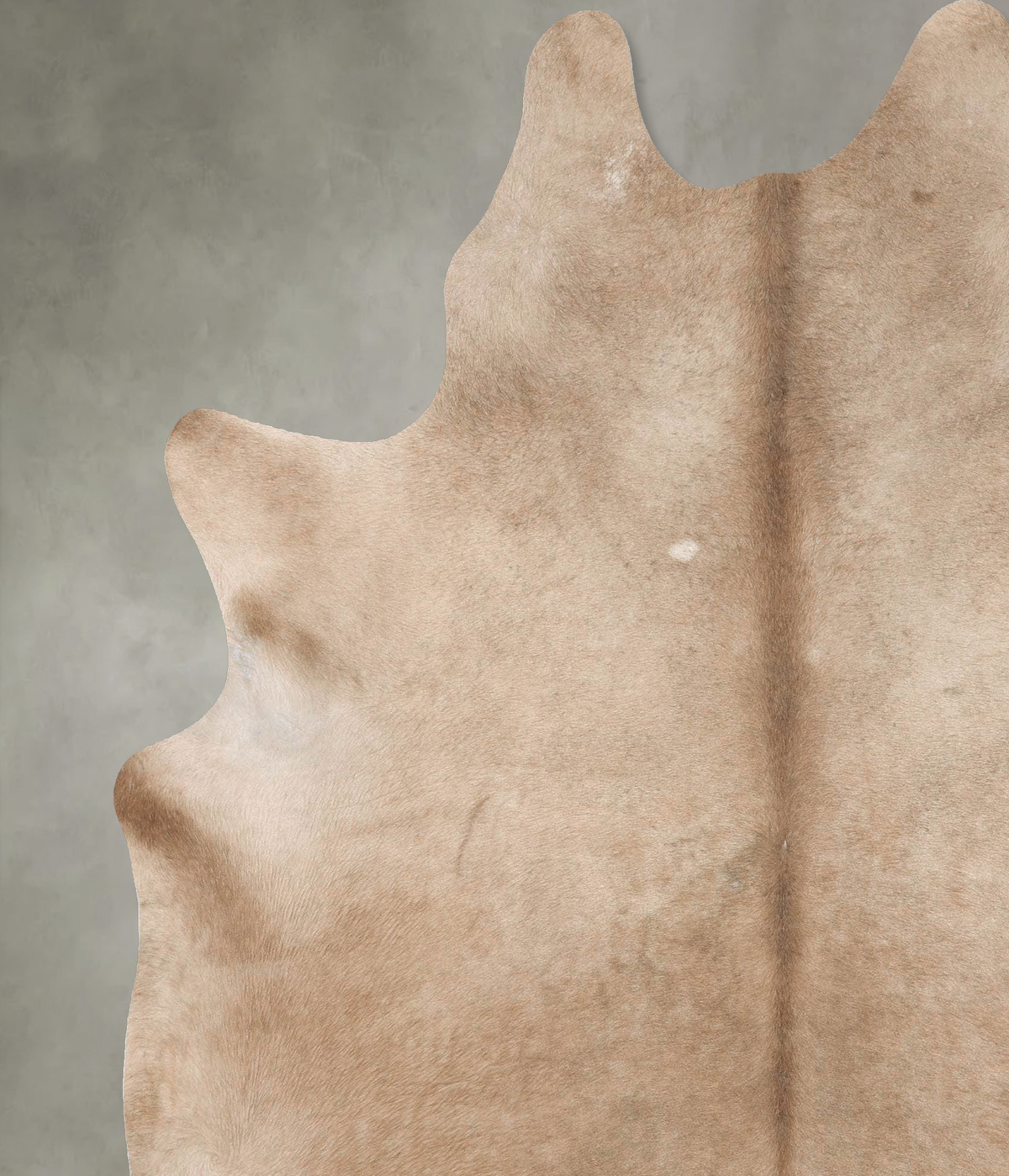 Taupe XX-Large Brazilian Cowhide Rug 8'0"H x 6'7"W #B27921 by Hudson Hides