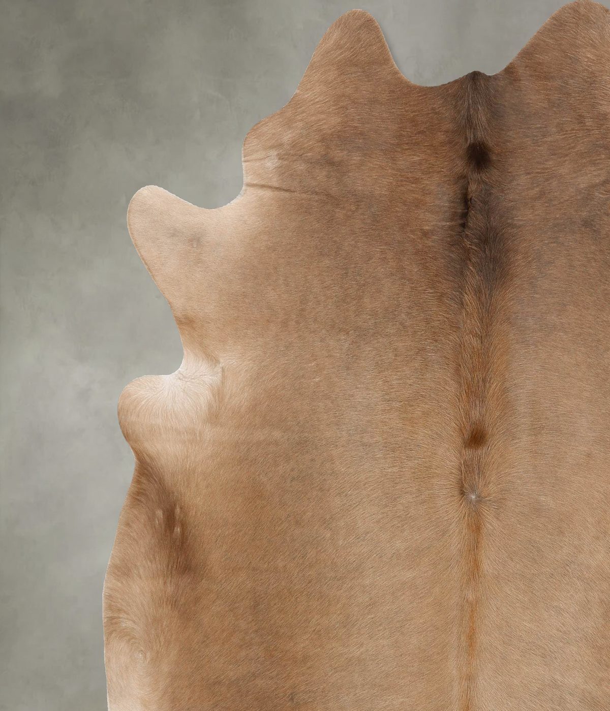 Taupe X-Large Brazilian Cowhide Rug 7'6"H x 6'7"W #B27933 by Hudson Hides