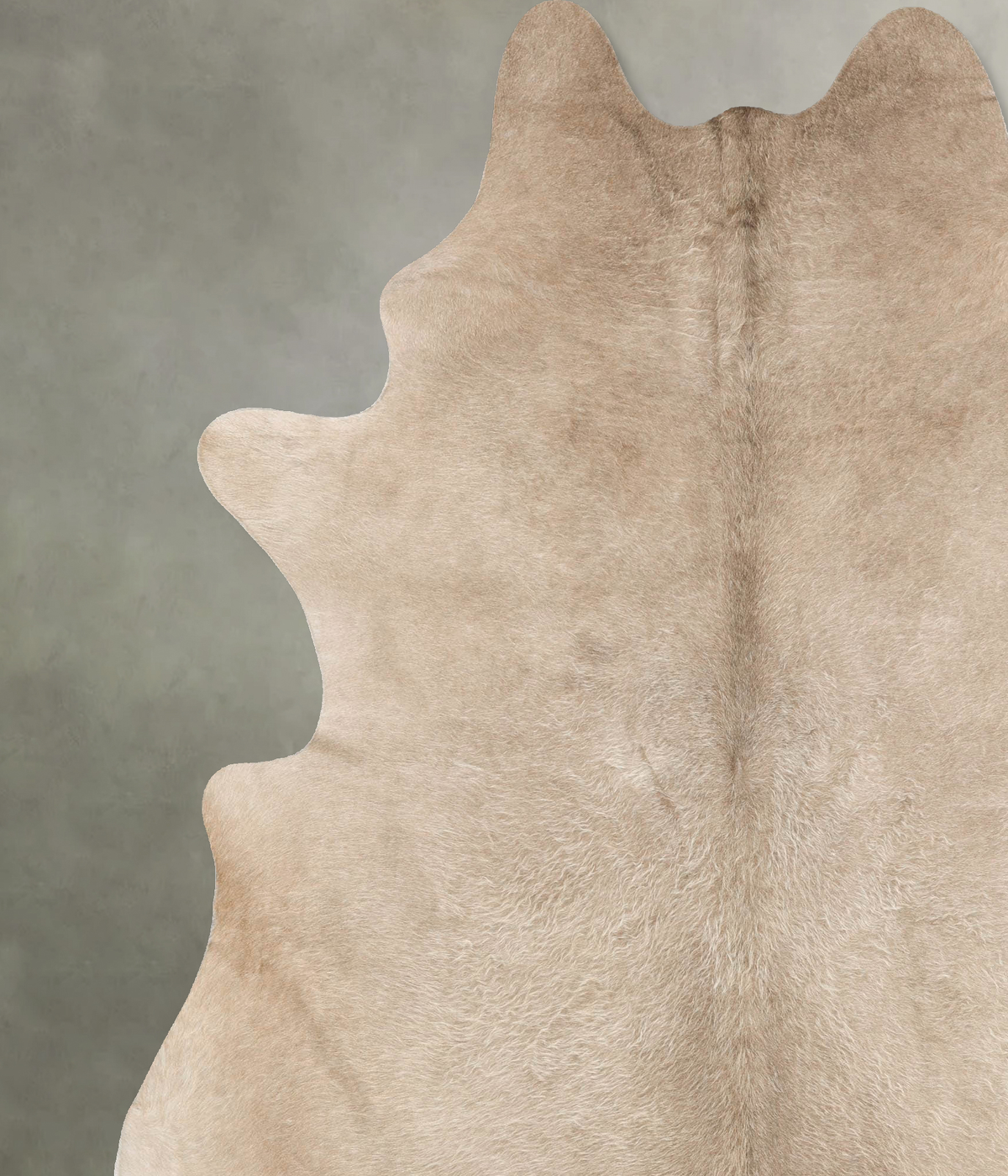 Champagne XX-Large Brazilian Cowhide Rug 8'9"H x 6'8"W #B27935 by Hudson Hides