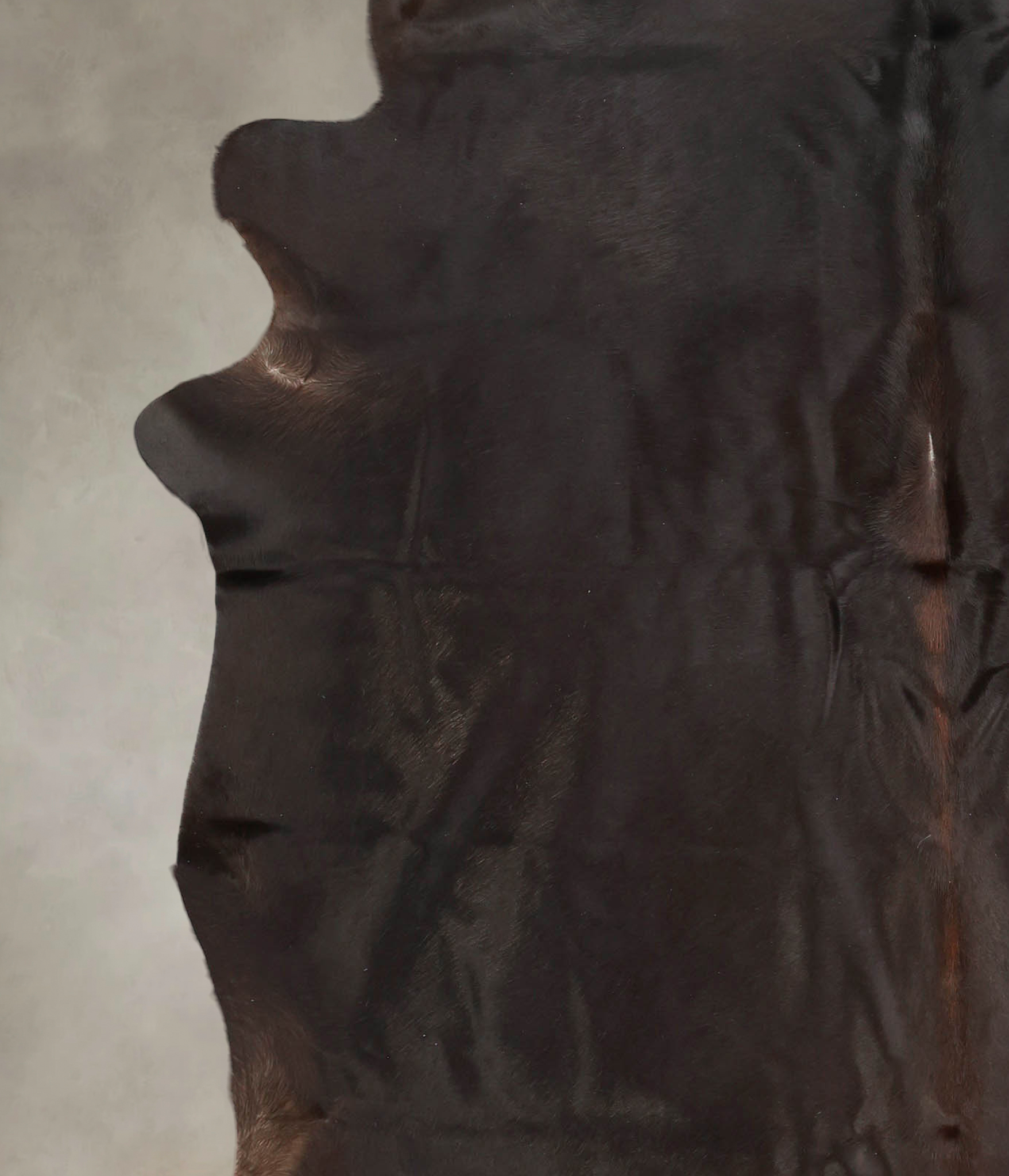 Solid Black Cowhide Rug #B2794