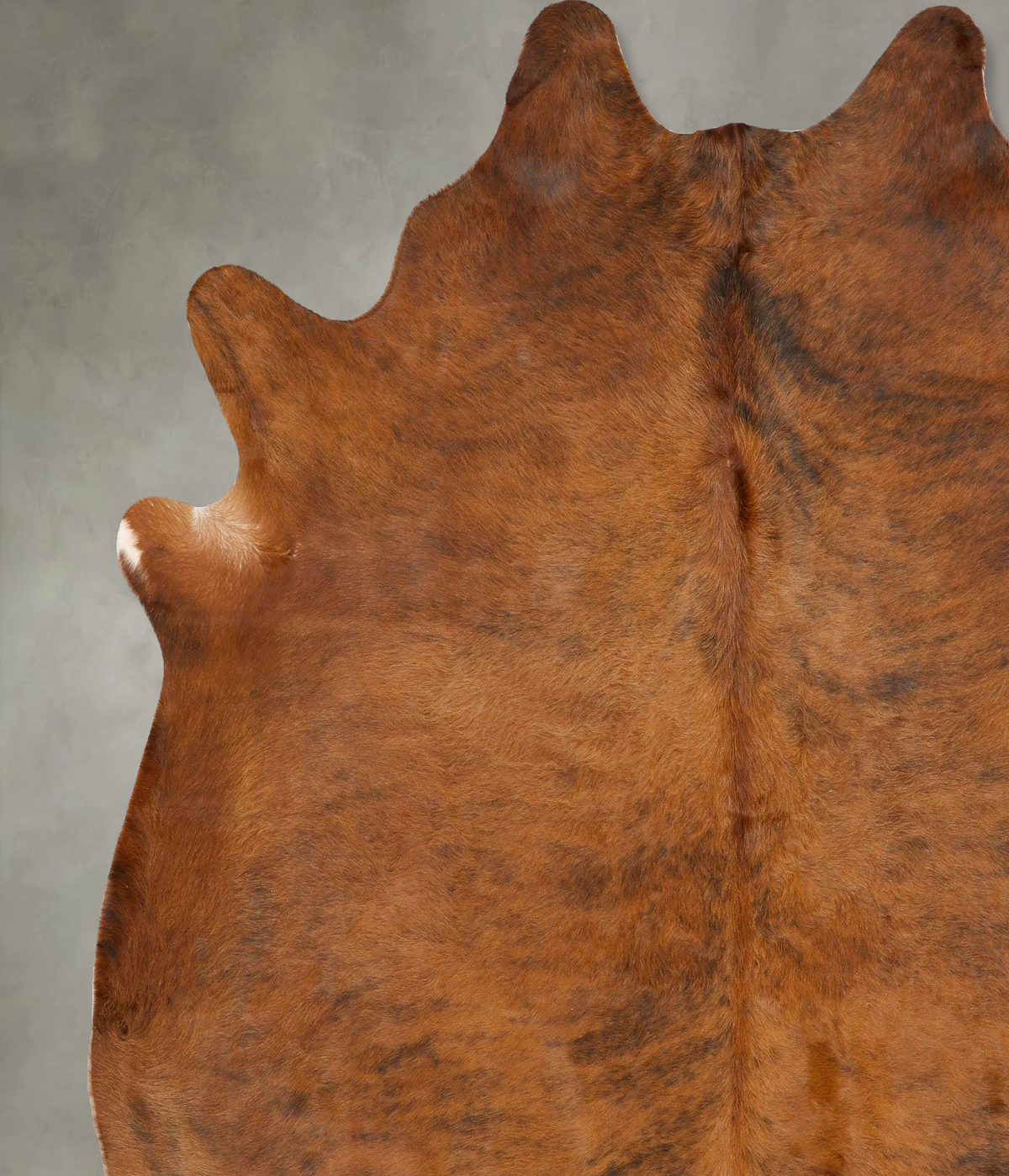 Medium Brindle XX-Large Brazilian Cowhide Rug 8'0"H x 7'5"W #B27949 by Hudson Hides