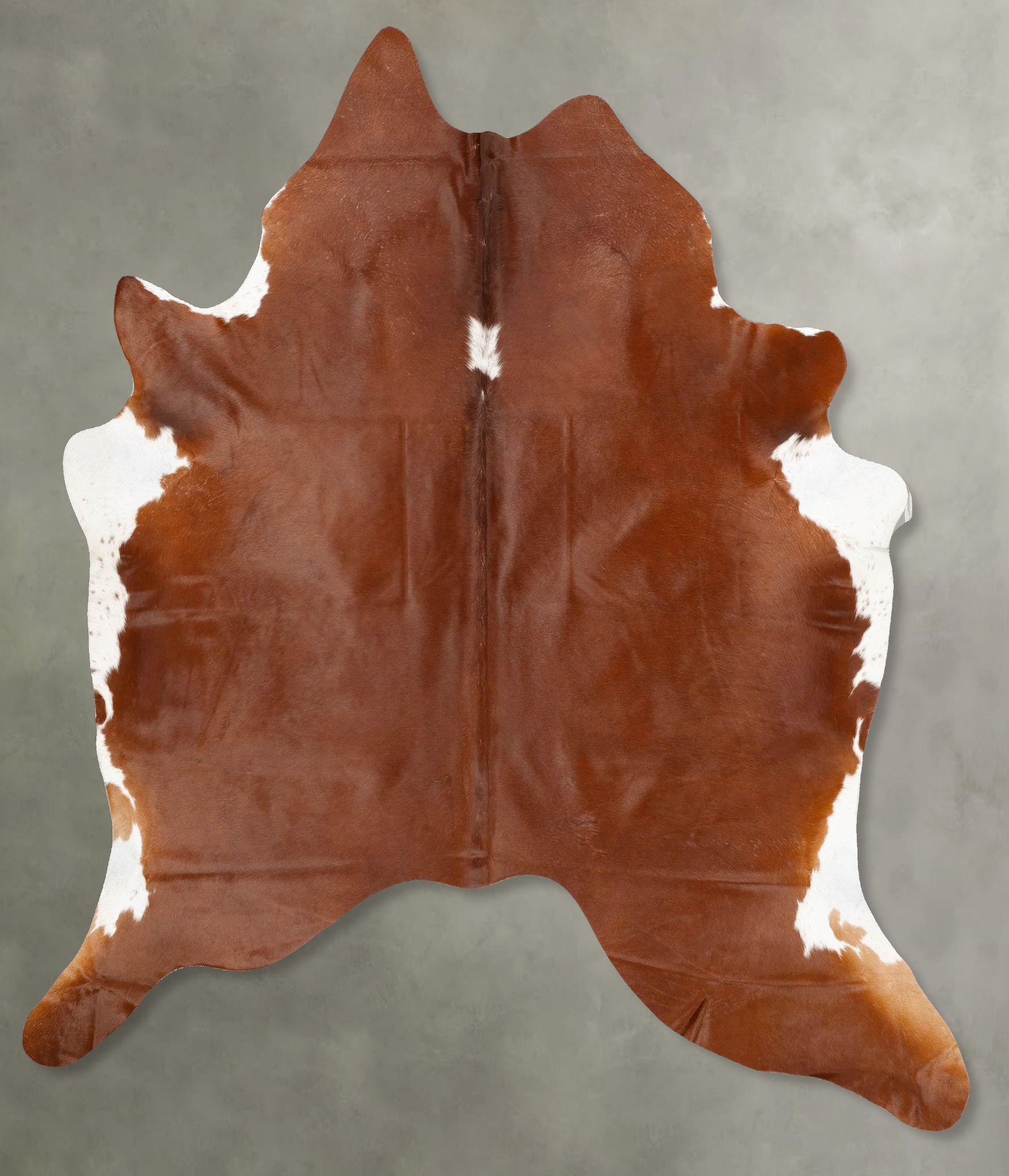 Brown and White Regular Cowhide Rug #B27950