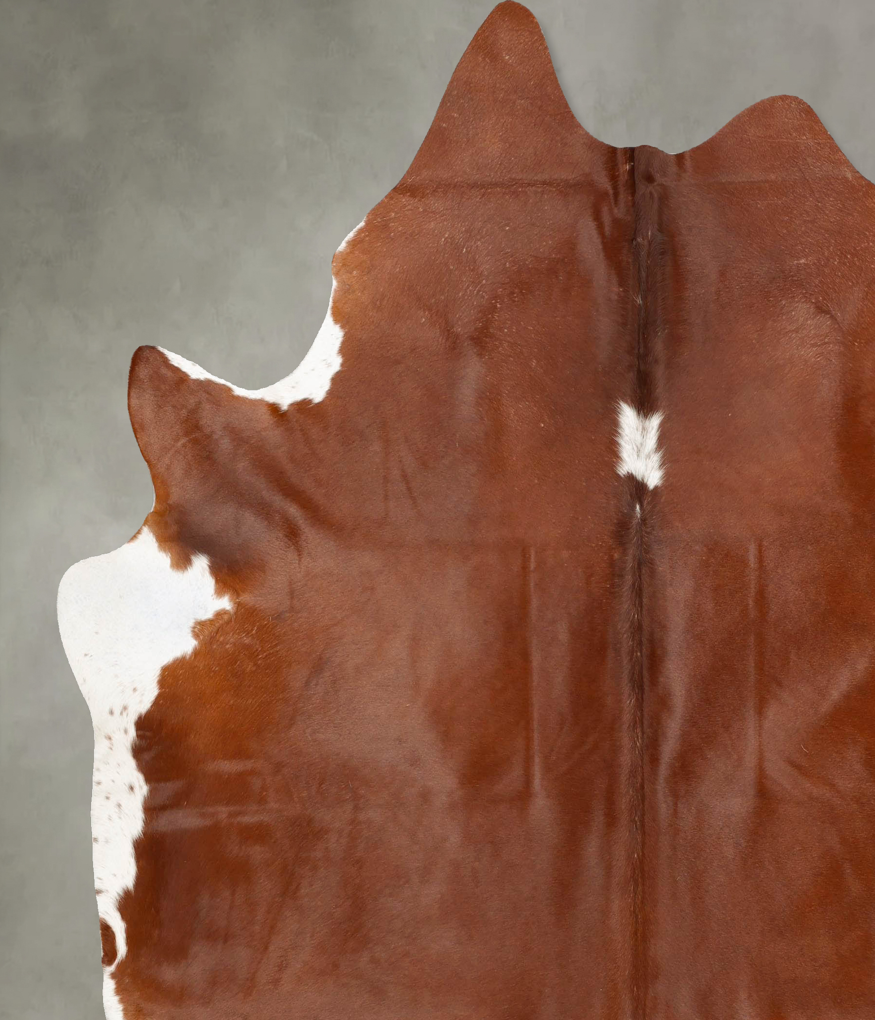 Brown and White Regular Cowhide Rug #B27950