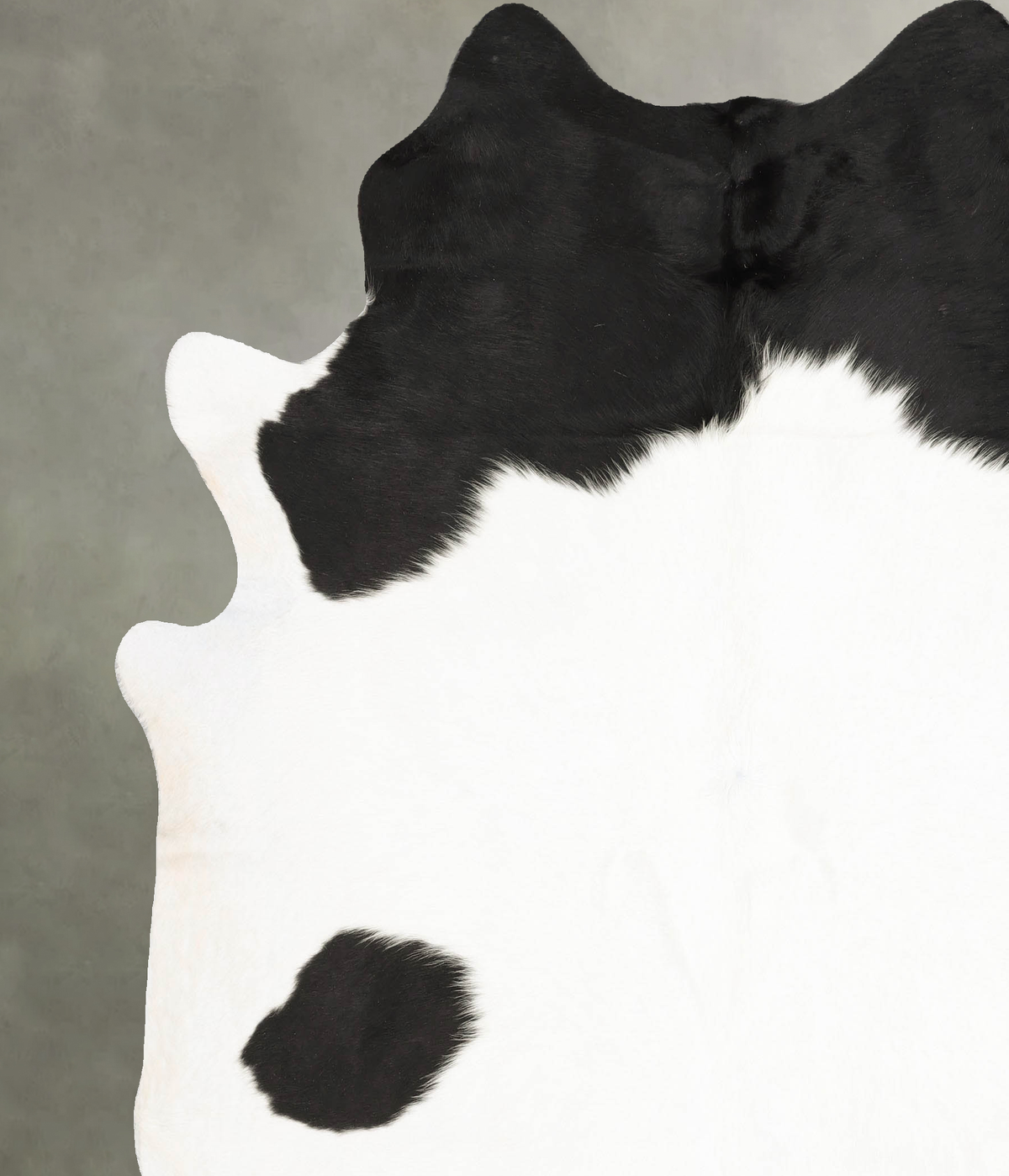 Black and White XX-Large Brazilian Cowhide Rug 8'0"H x 7'0"W #B27953 by Hudson Hides