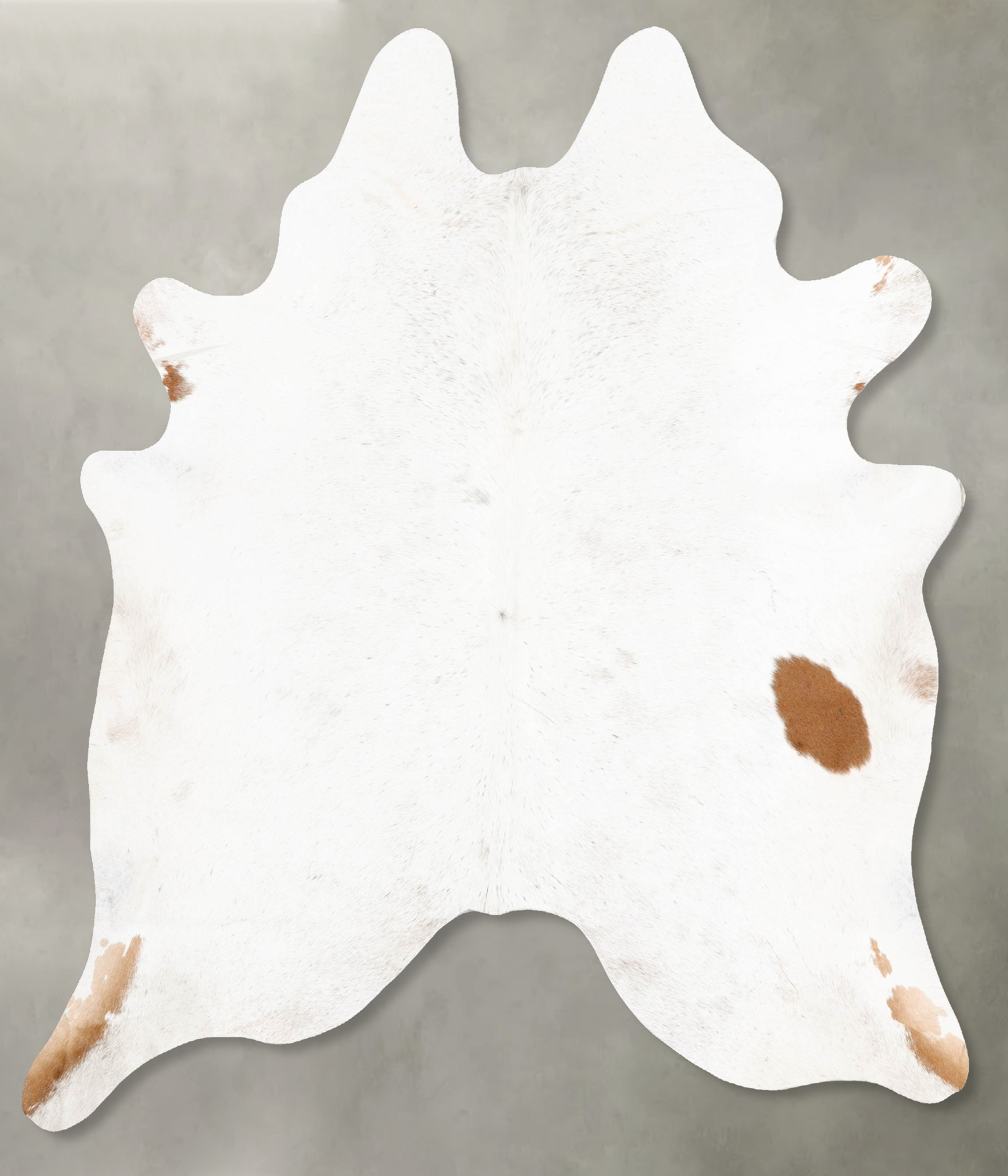 Brown and White Regular Cowhide Rug #B27965
