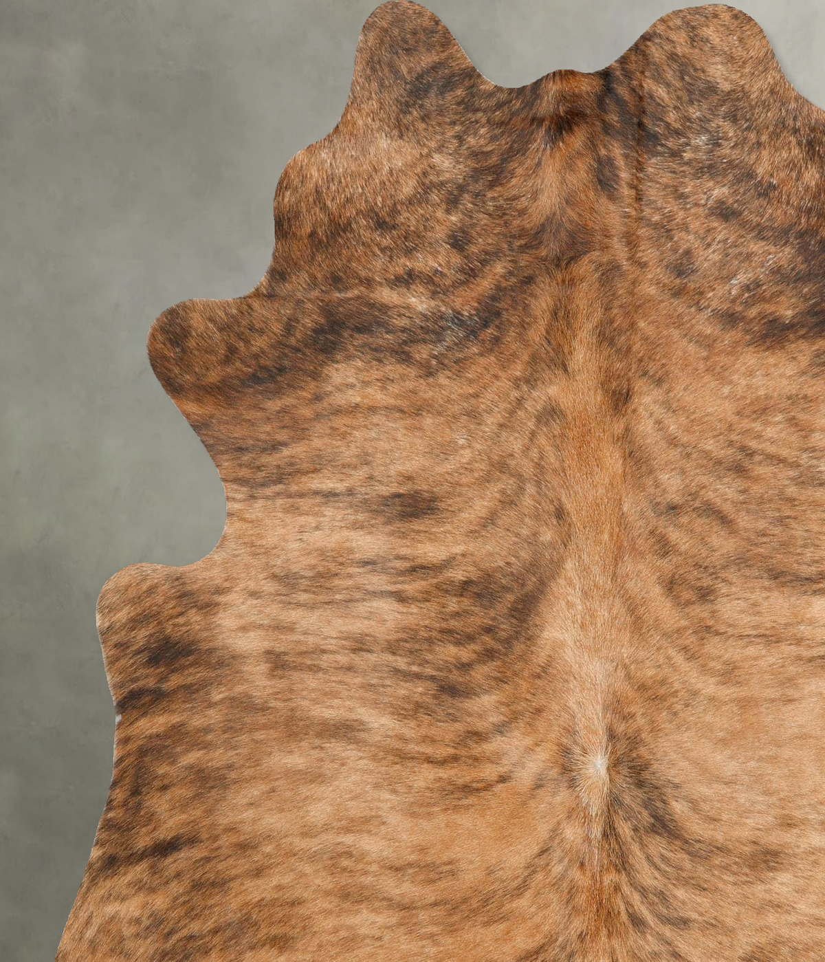 Medium Brindle X-Large Brazilian Cowhide Rug 7'1"H x 5'9"W #B27973 by Hudson Hides