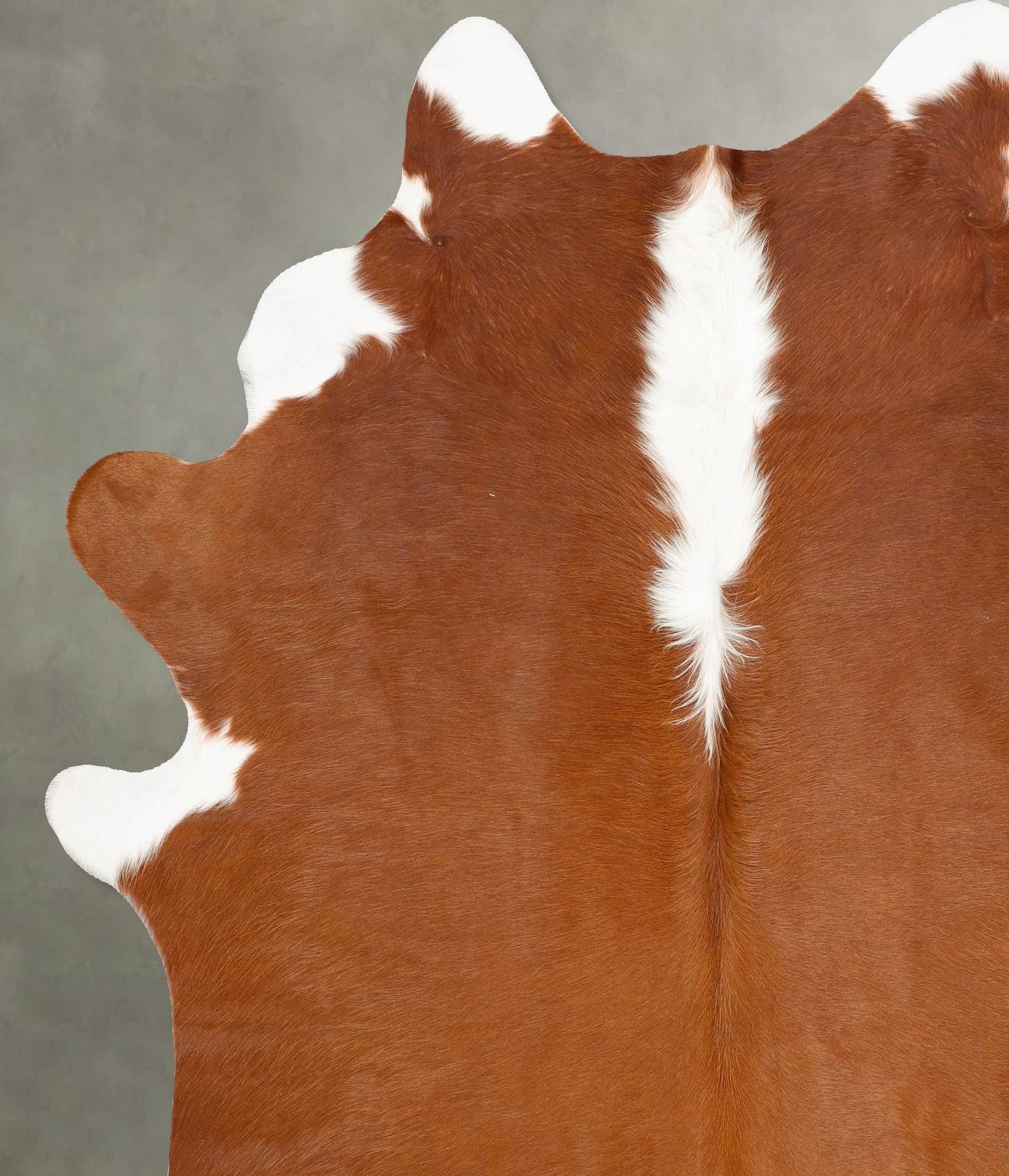 Hereford Cowhide Rug #B27981