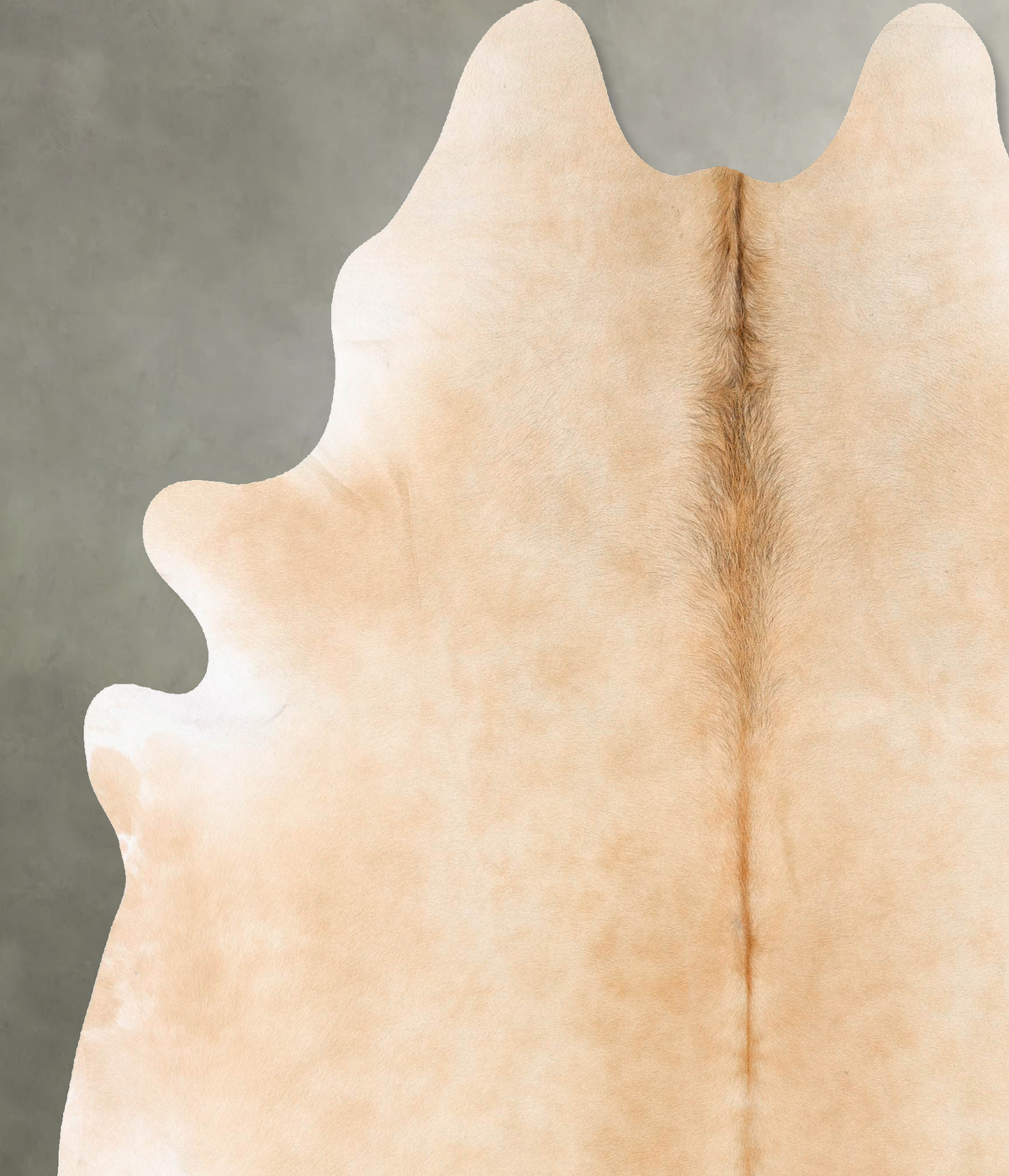 Beige XX-Large Brazilian Cowhide Rug 8'3"H x 6'10"W #B27990 by Hudson Hides