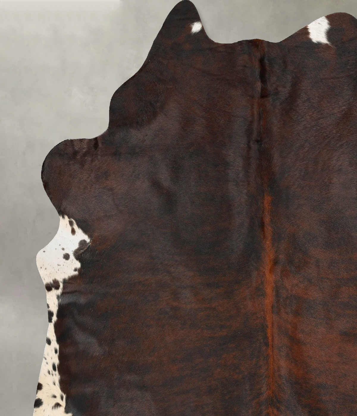 Dark Brindle XX-Large Brazilian Cowhide Rug 7'10"H x 6'7"W #B27993 by Hudson Hides