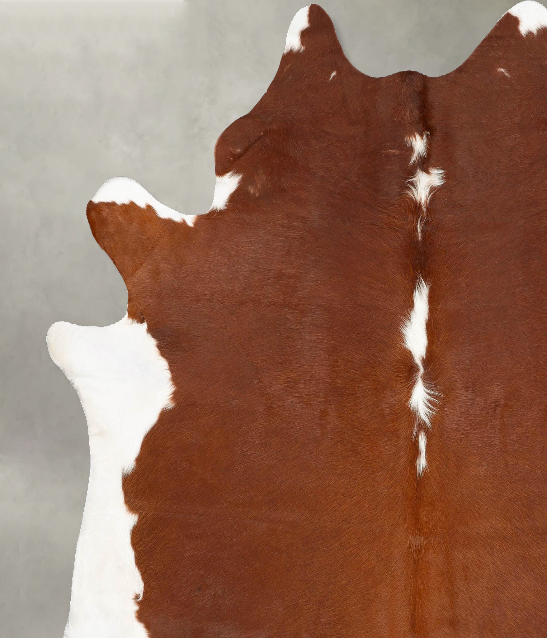 Hereford Cowhide Rug #B28013
